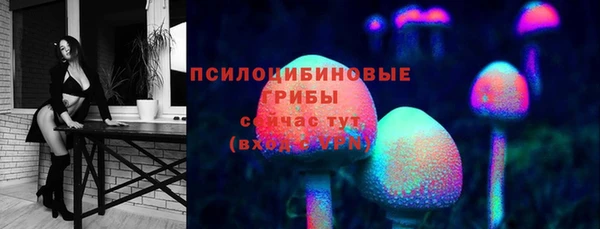 ПСИЛОЦИБИНОВЫЕ ГРИБЫ Киренск