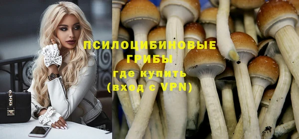 гашик Армянск
