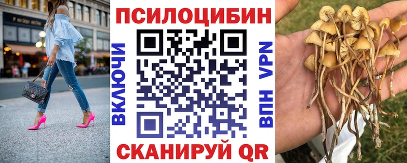 blacksprut зеркало  Елабуга  Галлюциногенные грибы прущие грибы 